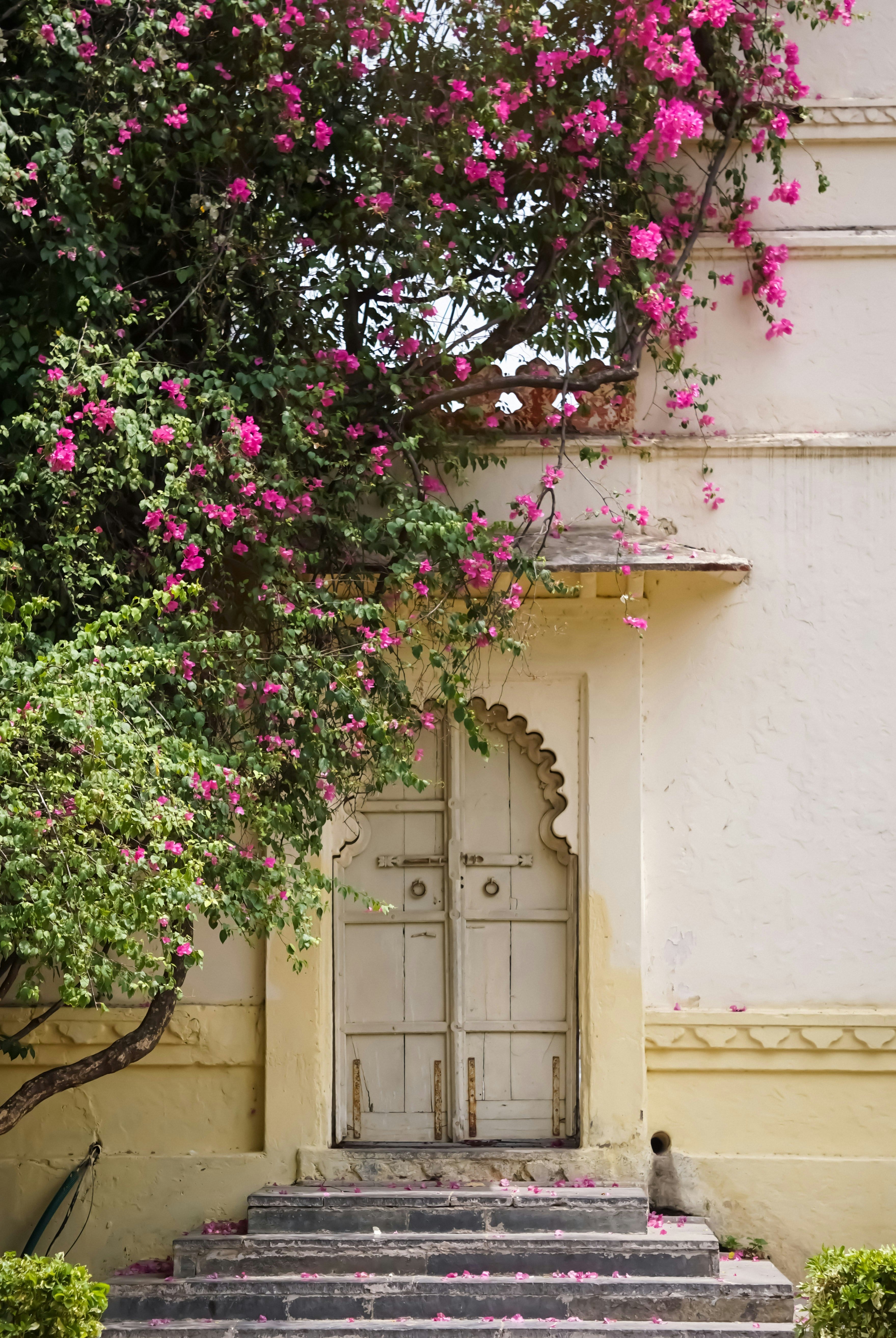 The Art of Slow Travel 002 | Udaipur, India.